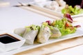 Gourmet Fresh Spring Rolls with Soy Sauce Royalty Free Stock Photo