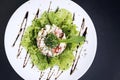 Gourmet fusion seafood and apple celery salad with wasabi mayo Royalty Free Stock Photo