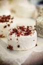 Gourmet goat cheese Royalty Free Stock Photo
