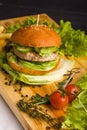 Gourmet homemade burger with garnish