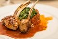 Gourmet Lamb Chops Royalty Free Stock Photo