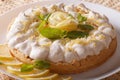 Gourmet Lemon cake with meringue and mint close-up. horizontal