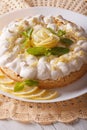 Gourmet Lemon cake with meringue and mint close-up. Vertical