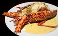 Gourmet lobster with sauce at the restaurant