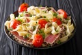 Gourmet meal: Fettuccine pasta with fried tuna steak and vegetables closeup. horizontal Royalty Free Stock Photo