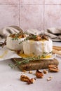Brie or camembert cheese with thyme, nuts, honey and grissini breadstick Royalty Free Stock Photo