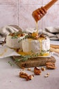 Brie or camembert cheese with thyme, nuts, honey and grissini breadstick Royalty Free Stock Photo