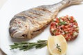 Gourmet Mediterranean seafood dish. Grilled fish gilthead with v