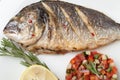 Gourmet Mediterranean seafood dish. Grilled fish gilthead with v Royalty Free Stock Photo