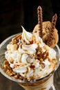 Gourmet mixed nut ice-cream sundae Royalty Free Stock Photo