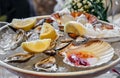 Gourmet mussels served with ice and lemon slices. seafood menu Royalty Free Stock Photo