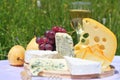 Gourmet plate (cheese and wine) Royalty Free Stock Photo
