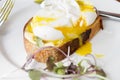 Gourmet poached free range eggs on sourdough Royalty Free Stock Photo