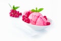 Gourmet redcurrant icecream