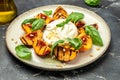 Gourmet Roasted Peaches with Burrata soft cheese, basil and drizzled with honey, with rose wine. Antipasto Dinner or aperitivo