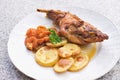 Gourmet roasted rabbit leg with glazed sweet carrot and baked potatoes choped on thin slices. Royalty Free Stock Photo
