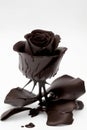 Gourmet Romance: A Chocolate Rose with a Touch of Malice, irresistible temptation