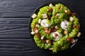 Gourmet salad Lyonnaise with lettuce, crispy bacon, croutons and Royalty Free Stock Photo