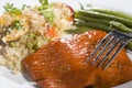Gourmet Salmon Dinner Royalty Free Stock Photo