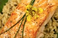 Gourmet Salmon Dinner Royalty Free Stock Photo