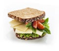 Gourmet Sandwich Royalty Free Stock Photo