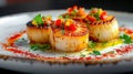 Seared Scallops with Fresh Salsa and Herbs served on White Plate Royalty Free Stock Photo
