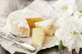 Gourmet spicy Camembert cheese, brie on white paper background with cheese knife. Spicy appetizer for gourmets. Selective focus