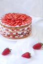 Gourmet traditional strawberry sponge cake weet