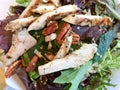 Gourmet walnut mixed greens salad with chicken close up