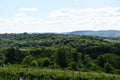 Gouveia Vineyards in Wallingford, Connecticut