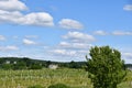 Gouveia Vineyards in Wallingford, Connecticut