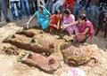 Govardhan pooja in Bhopal