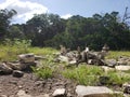 Government Canyon Hiking Trail Rock Stacking, San Antonio Texas