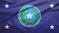 Governor Of Texas flag