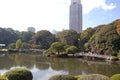 Goyen National Gardens, Shinjuku Japan