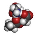 GPLC (glycine propionyl-L-carnitine) nutritional supplement molecule. Atoms are represented as spheres with conventional color