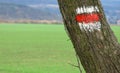 GR footpath marking on tree