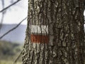 GR road marking mark on tree bark with autumn forest background