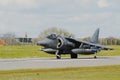 GR9 Harrier Royalty Free Stock Photo