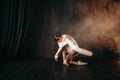 Grace of ballerina in motion on theatrical stage Royalty Free Stock Photo