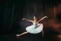 Grace of ballerina in motion on theatrical stage Royalty Free Stock Photo