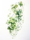 Graceful Arch of Watercolor Ivy Vine Leaves AI Generated Royalty Free Stock Photo