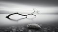 Graceful Balance: Dreamy Black And White Silhouette Of An Overturned Tree Over Water