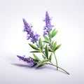 Graceful Balance: Lavender Flowers In The Style Of Raynald Leclerc