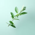 Graceful Balance: A Translucent Green Plant On A Blue Background