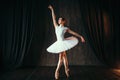 Graceful ballerina dancing in ballet class Royalty Free Stock Photo