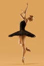 Ballerina Dancing in Classic Tutu Skirt. Ballet Dancer in Black Dress Balance at One Leg over Beige Studio Background Royalty Free Stock Photo