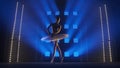 Graceful ballerina dancing elements of classical ballet choreography in white tutu and pointe shoes. Silhouette of young Royalty Free Stock Photo