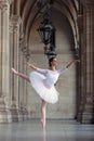 Graceful ballerina dancing in a palace Royalty Free Stock Photo