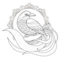 Graceful bird coloring page Royalty Free Stock Photo